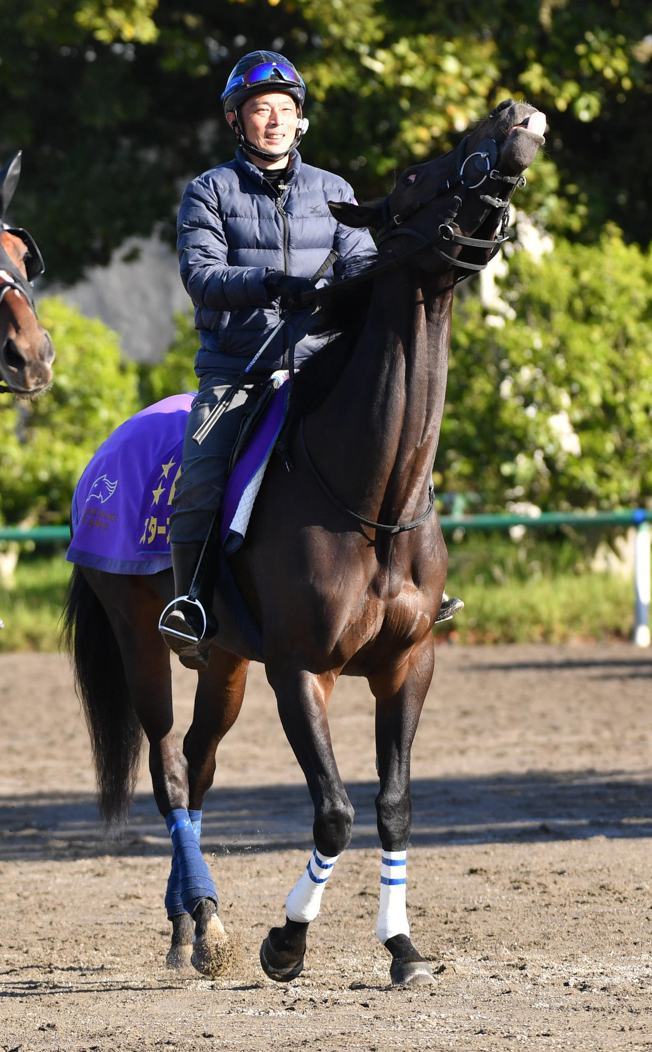 ヴィクトリアMの2週前追い切りに向かうスターズオンアース（撮影・柴田隆二）