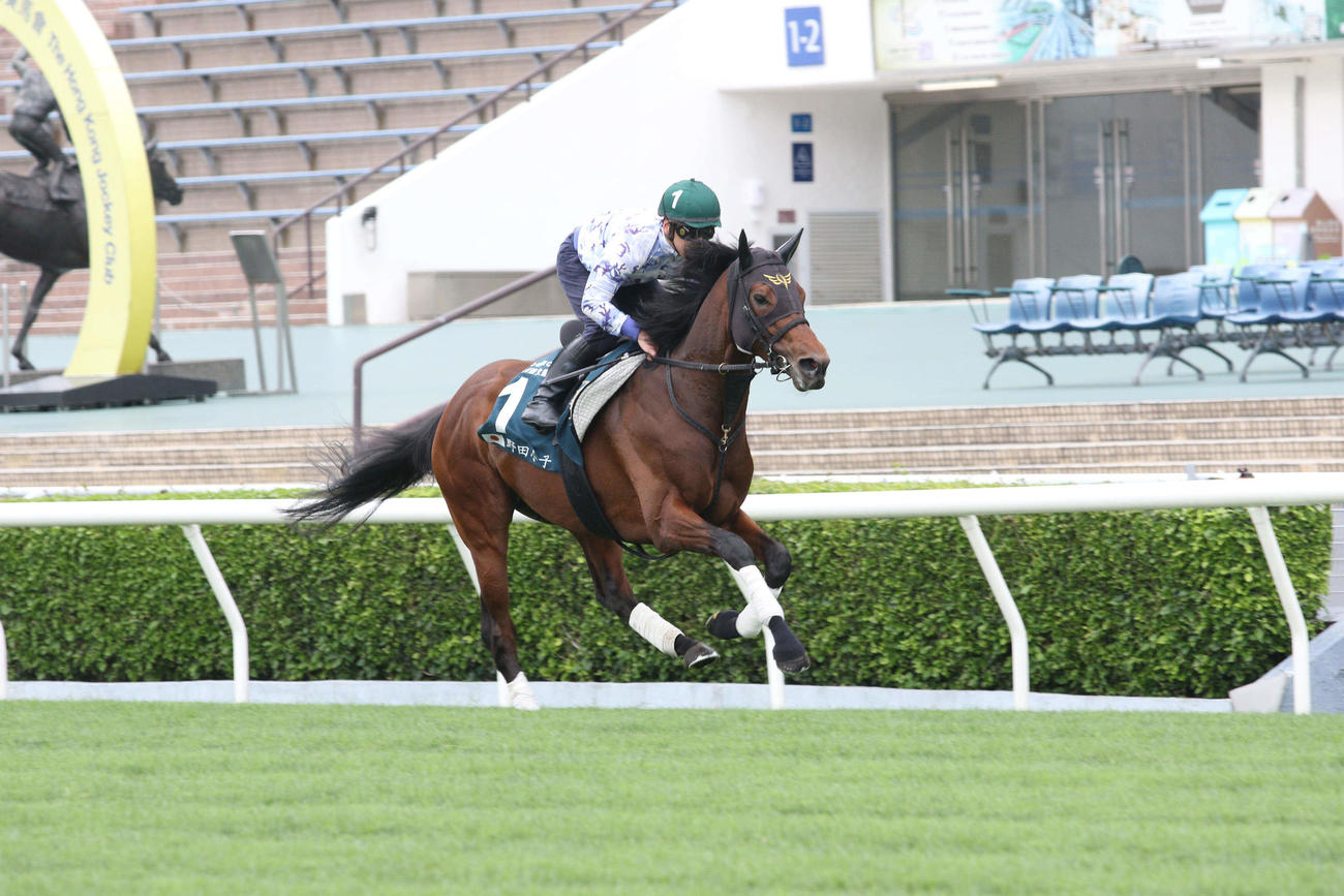 シャティン競馬場で追い切ったダノンザキッド（C）The Hong Kong Jockey Club