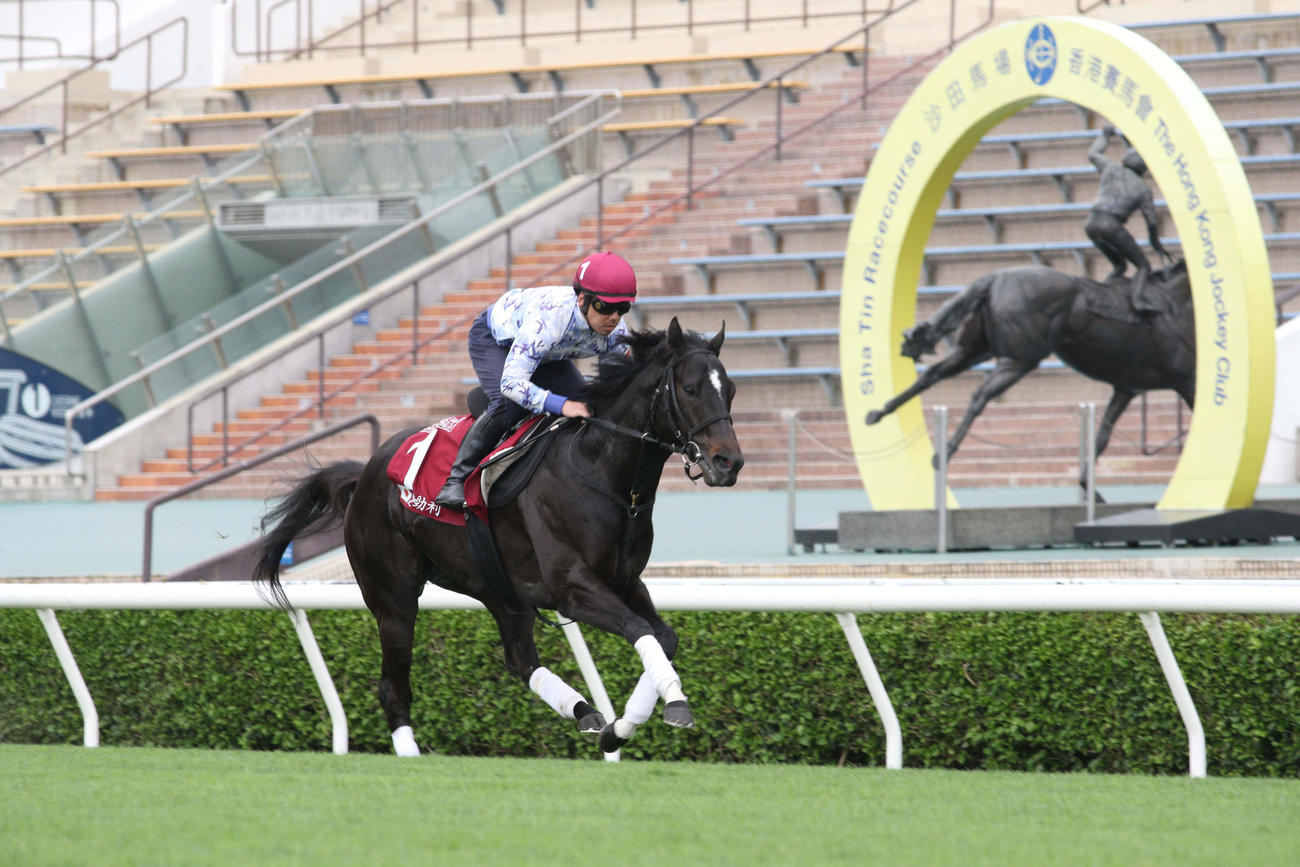 シャティン競馬場芝コースで追い切ったアグリ（C）The Hong Kong Jockey Club