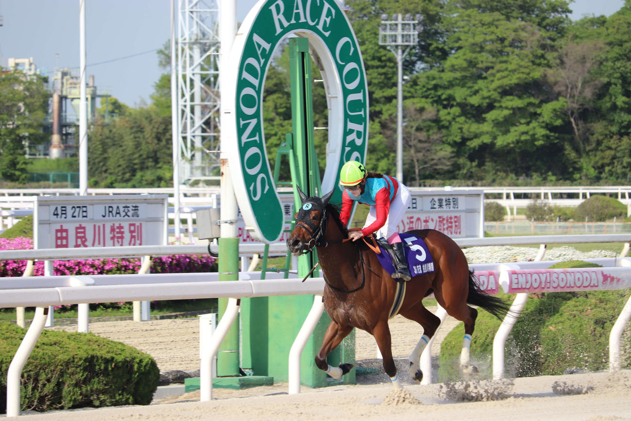 園田11R、タマモベローナで由良川特別を勝利し、地方通算12勝目を挙げた永島まなみ騎手