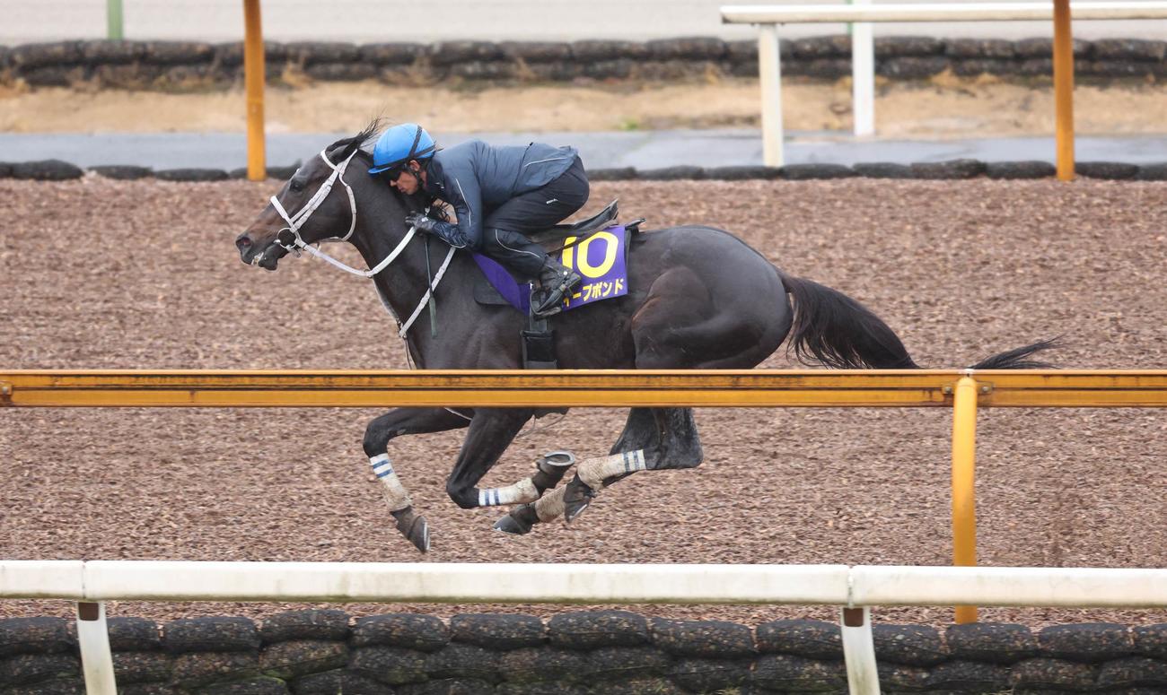 和田竜二騎手を背に追い切るディープボンド（2023年4月26日撮影）