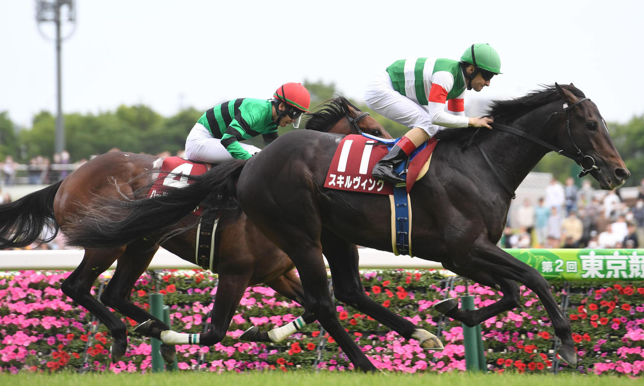青葉賞2着に敗れたハーツコンチェルト（奥）。手前は勝ったスキルヴィング（撮影・柴田隆二）