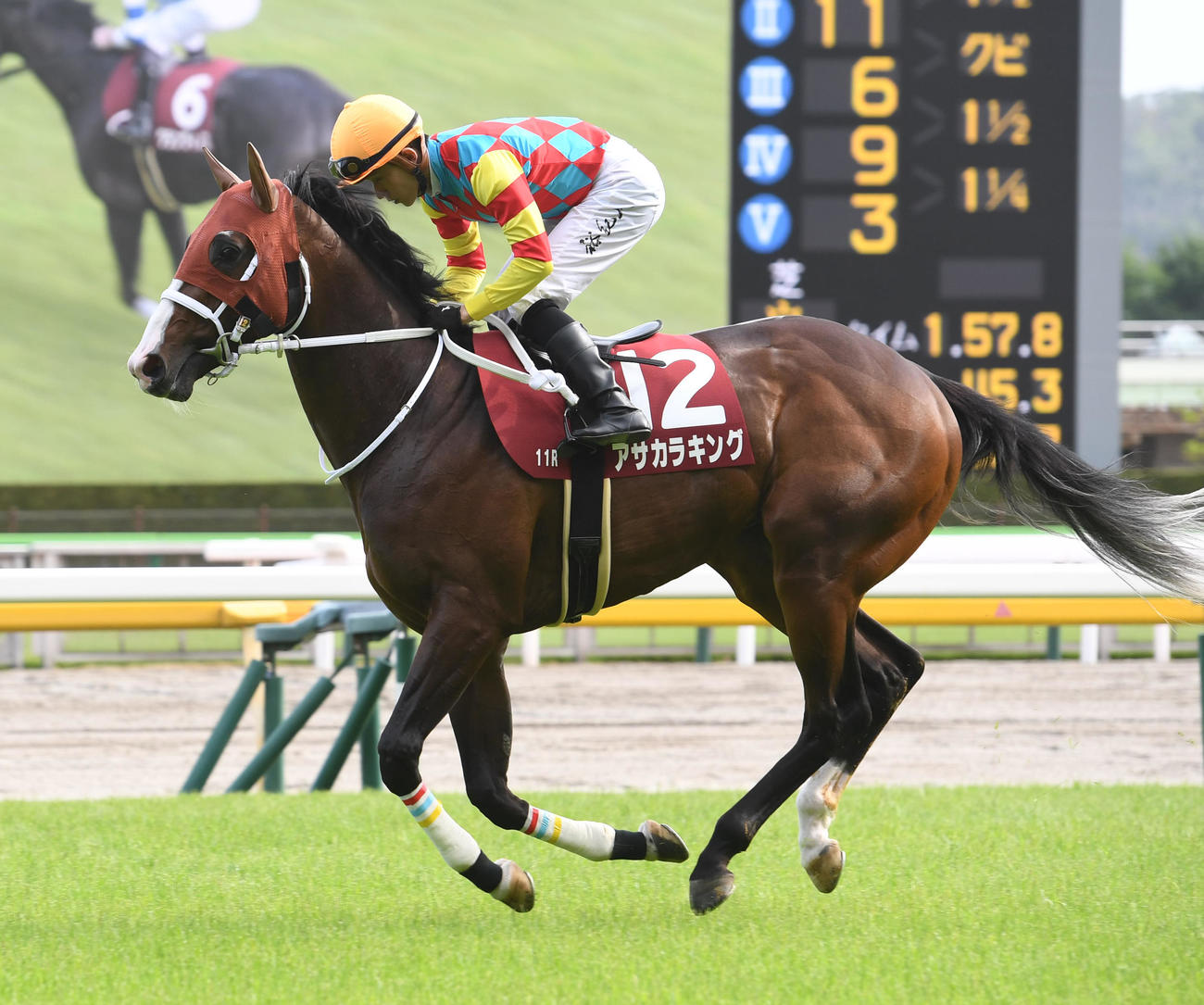 青葉賞で14着に敗れたアサカラキングと石川騎手（撮影・柴田隆二）