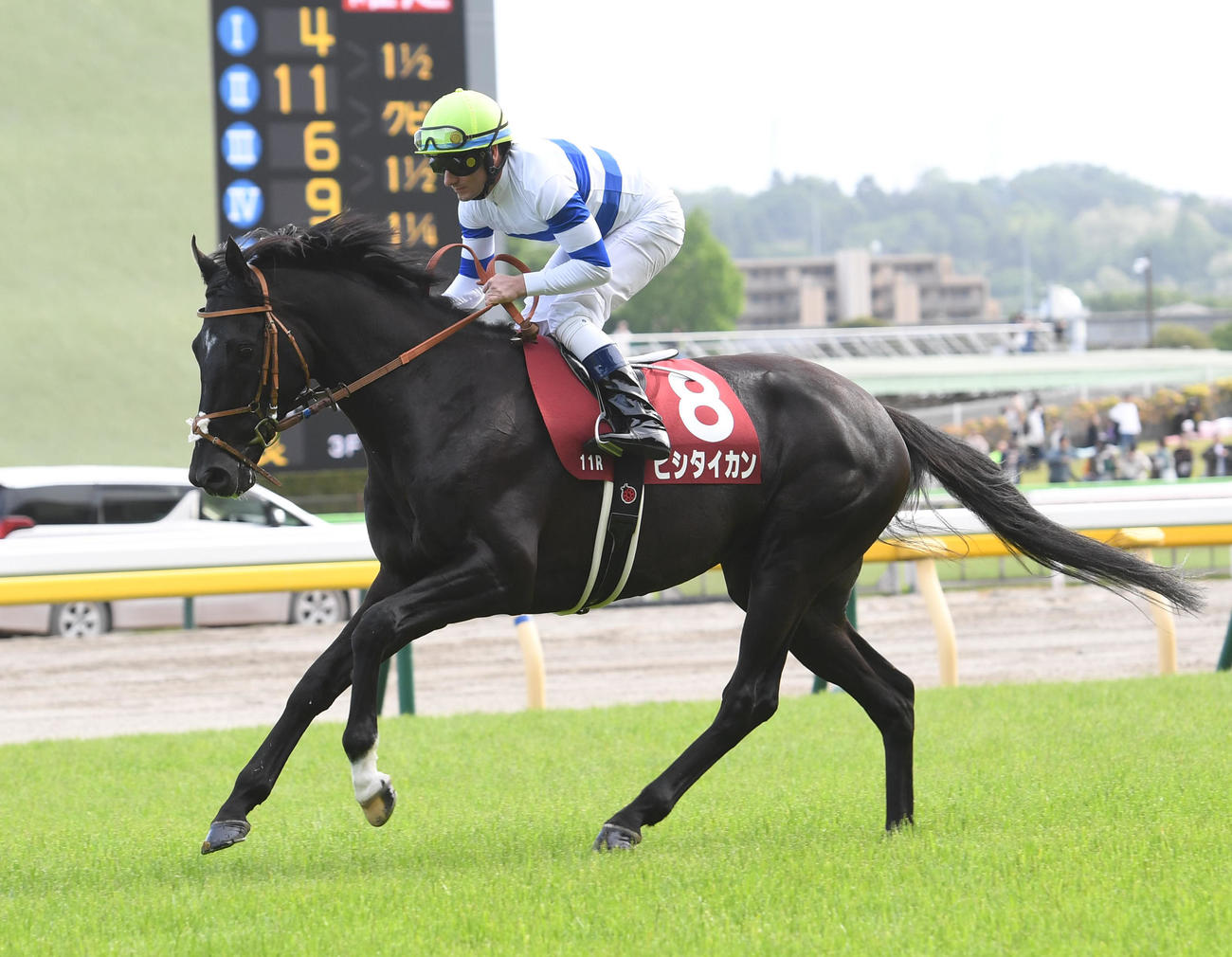 青葉賞で12着に敗れたヒシタイカンとデムーロ騎手（撮影・柴田隆二）