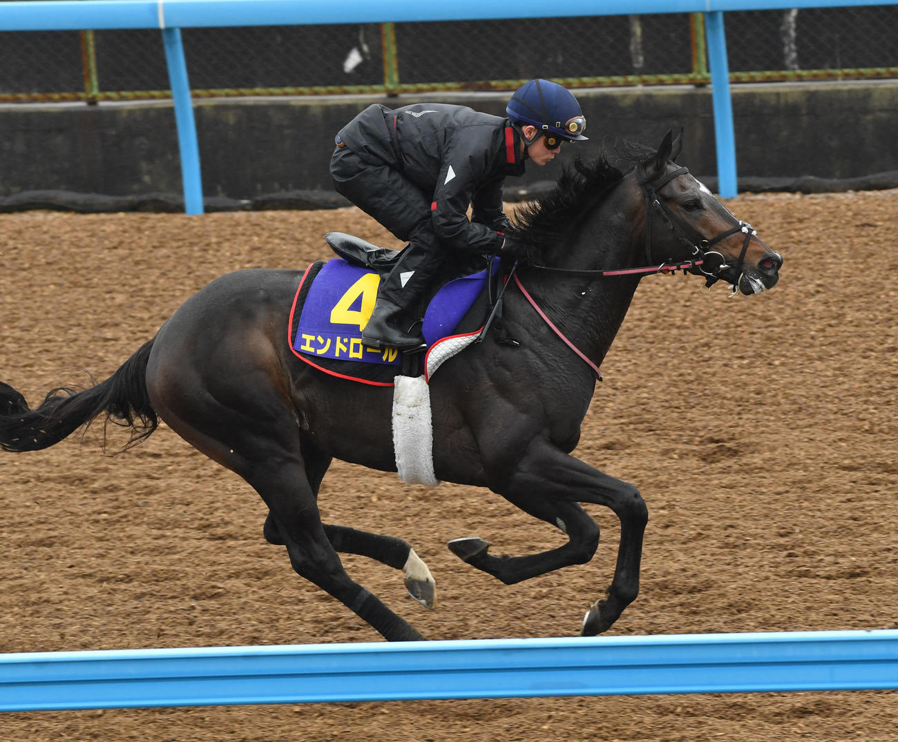 26日、ウッドチップで追い切るエンドロール（撮影・柴田隆二）