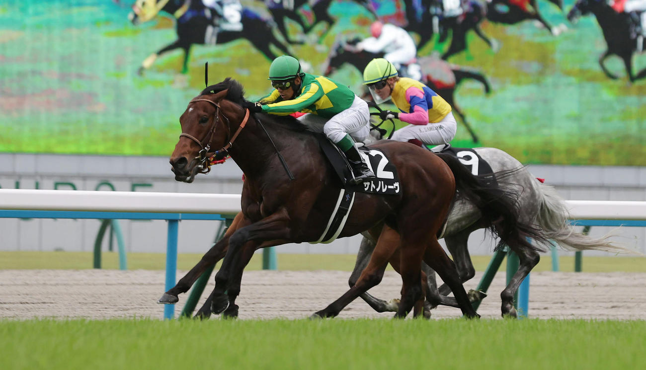 朱雀Sを快勝したサトノレーヴと浜中騎手（撮影・前田充）