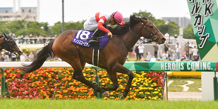 NHKマイルCを制したダノンスコーピオン＝2022年5月8日、東京競馬場