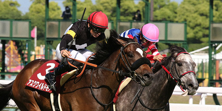 2着ヴェローナシチー（右）を差し切って京都新聞杯をレーコード勝ちしたアスクワイルドモア＝2022年5月7日、中京競馬場