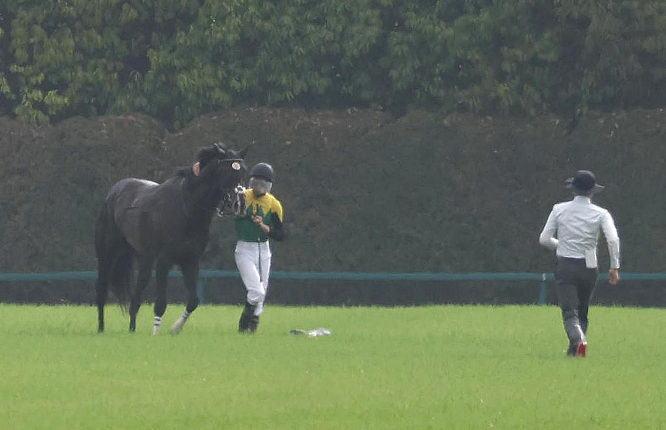 横山和騎手が下馬し競走中止したタイトルホルダー（撮影・白石智彦）