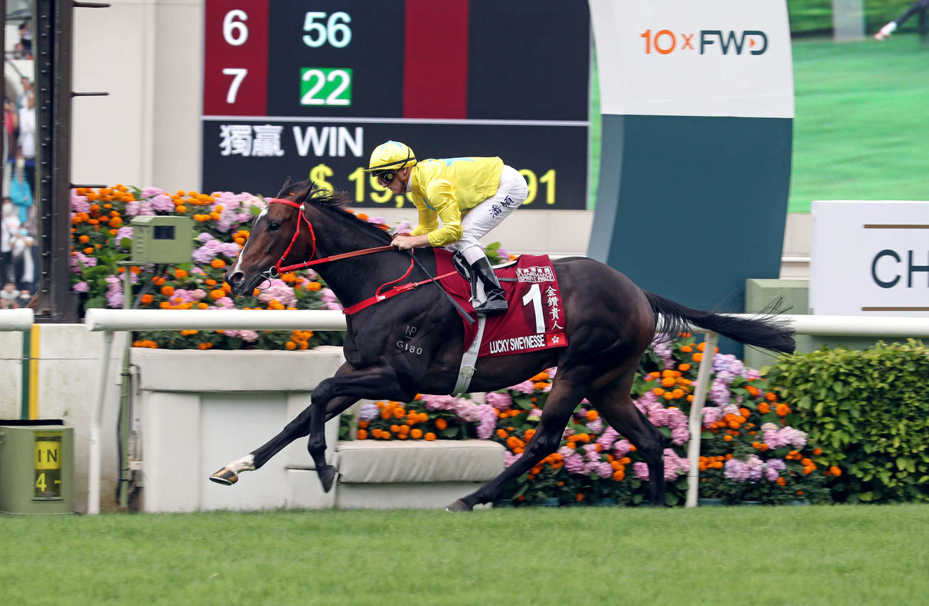 チェアマンズSPを快勝したラッキースワイネス（C）The Hong Kong Jockey Club
