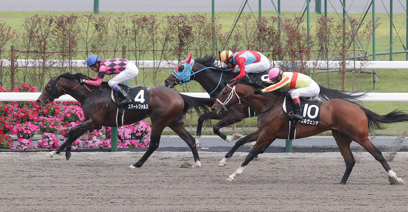 京都10R、直線抜け出して端午Sを制したスマートフォルス（左）（撮影・白石智彦）