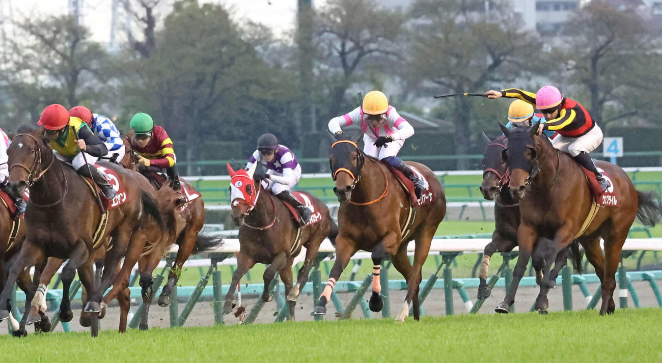 NZT2着のウンブライル（右端）。左端は勝ったエエヤン（2023年4月8日撮影）