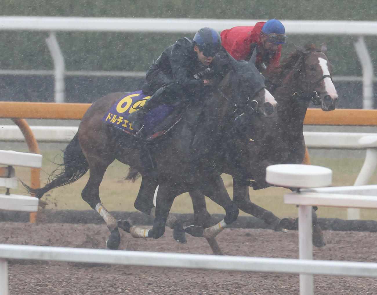 4月26日、併せ馬で追い切るドルチェモア（手前）