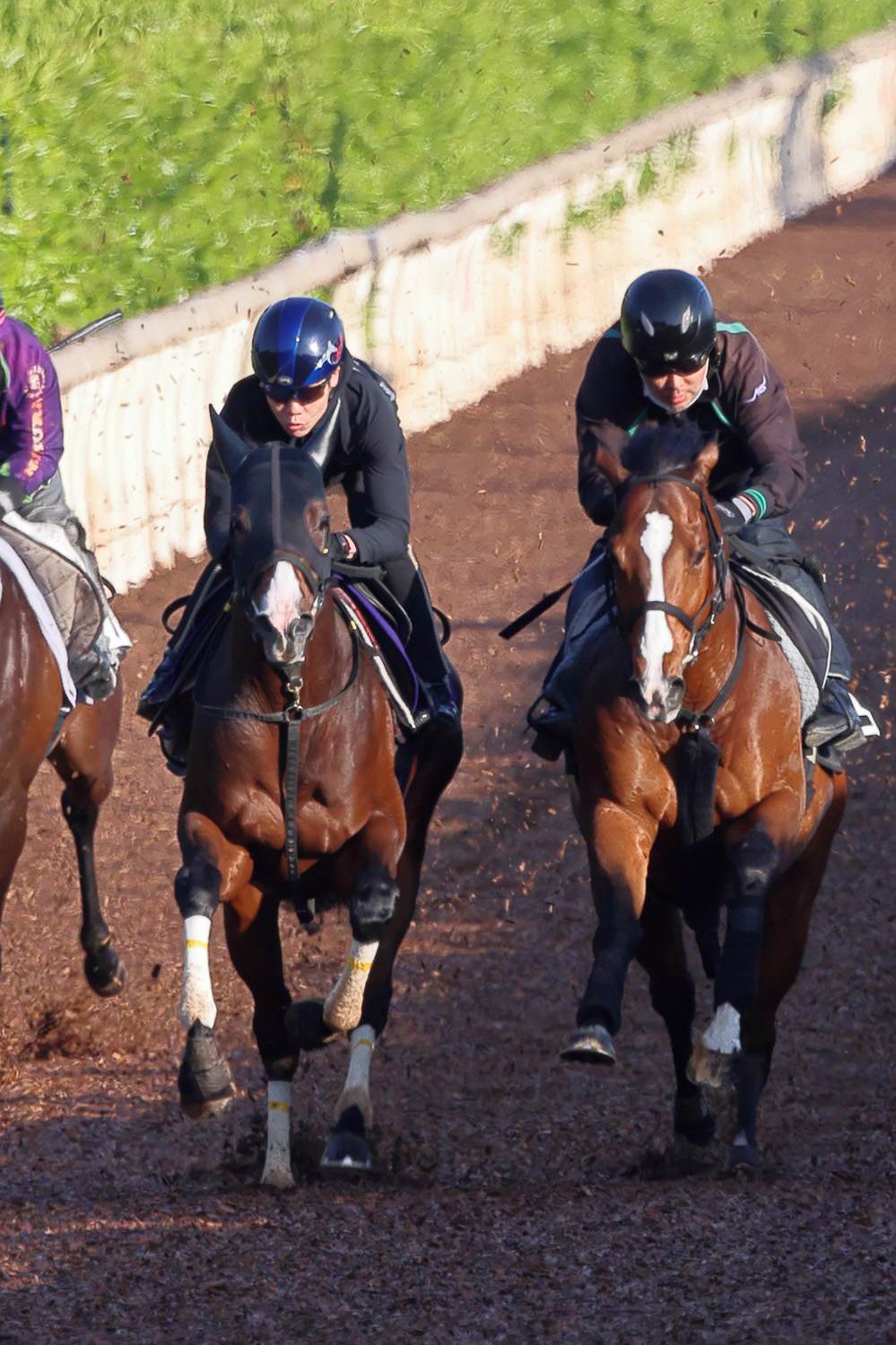 坂路でリレーションシップ（右）と併せたドルチェモア