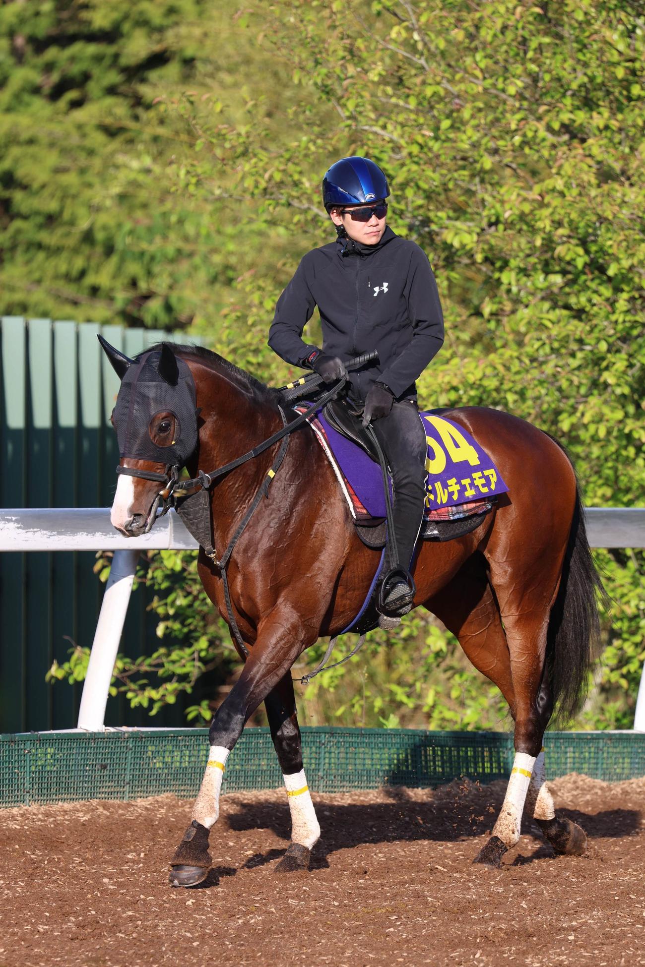 三浦皇成が騎乗したドルチェモア
