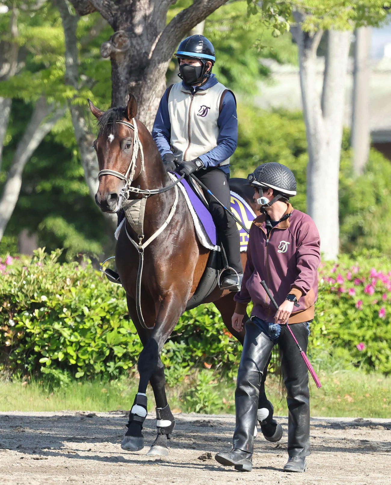 馬場へ向かうエエヤン（撮影・丹羽敏通）