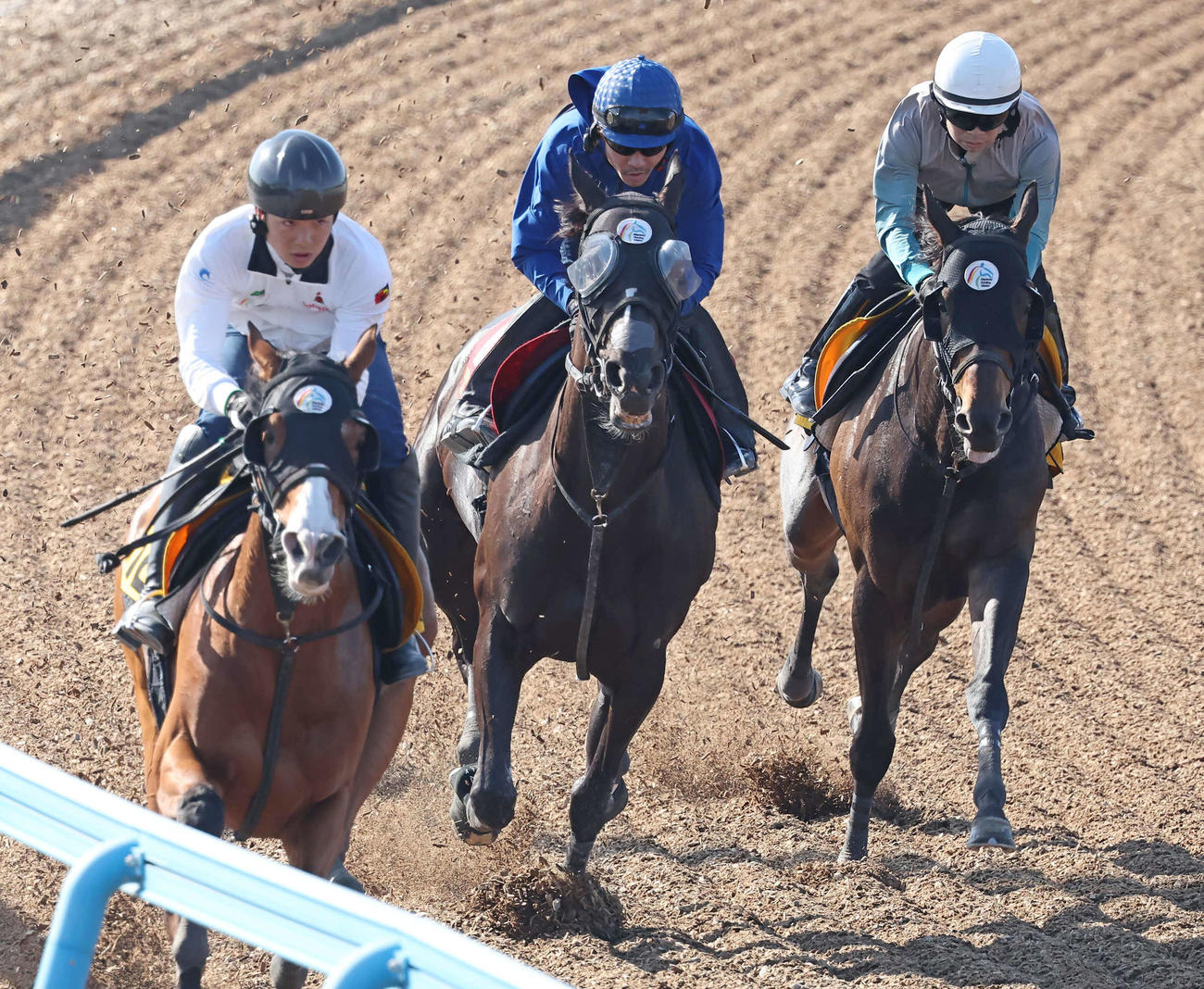 ソングライン（中央）は戸崎騎手を背に美浦ウッドを3頭併せで追い切られた（撮影・丹羽敏通）