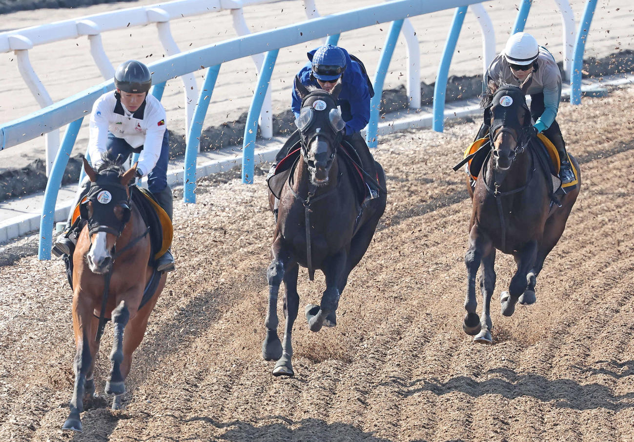 ソングライン（中央）は戸崎騎手を背に美浦ウッドを3頭併せで追い切られた（撮影・丹羽敏通）
