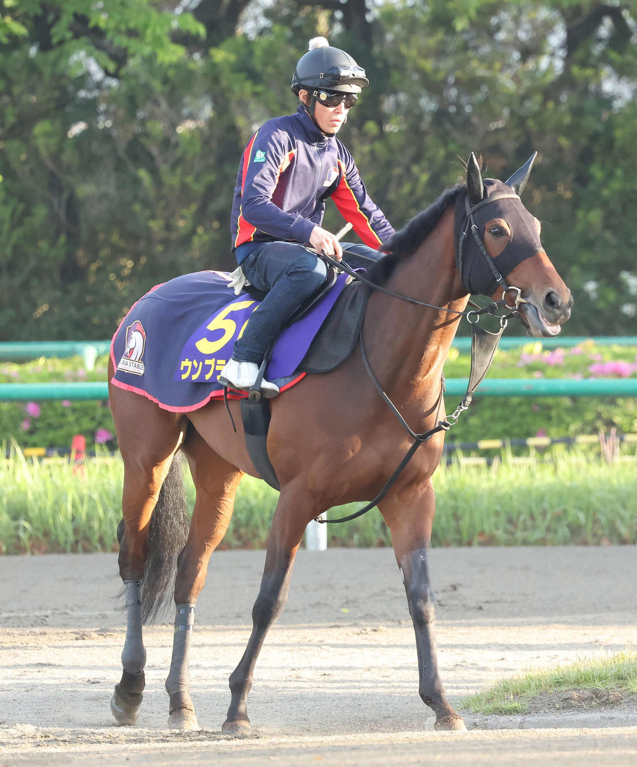 馬場へ向かうウンブライル（撮影・丹羽敏通）