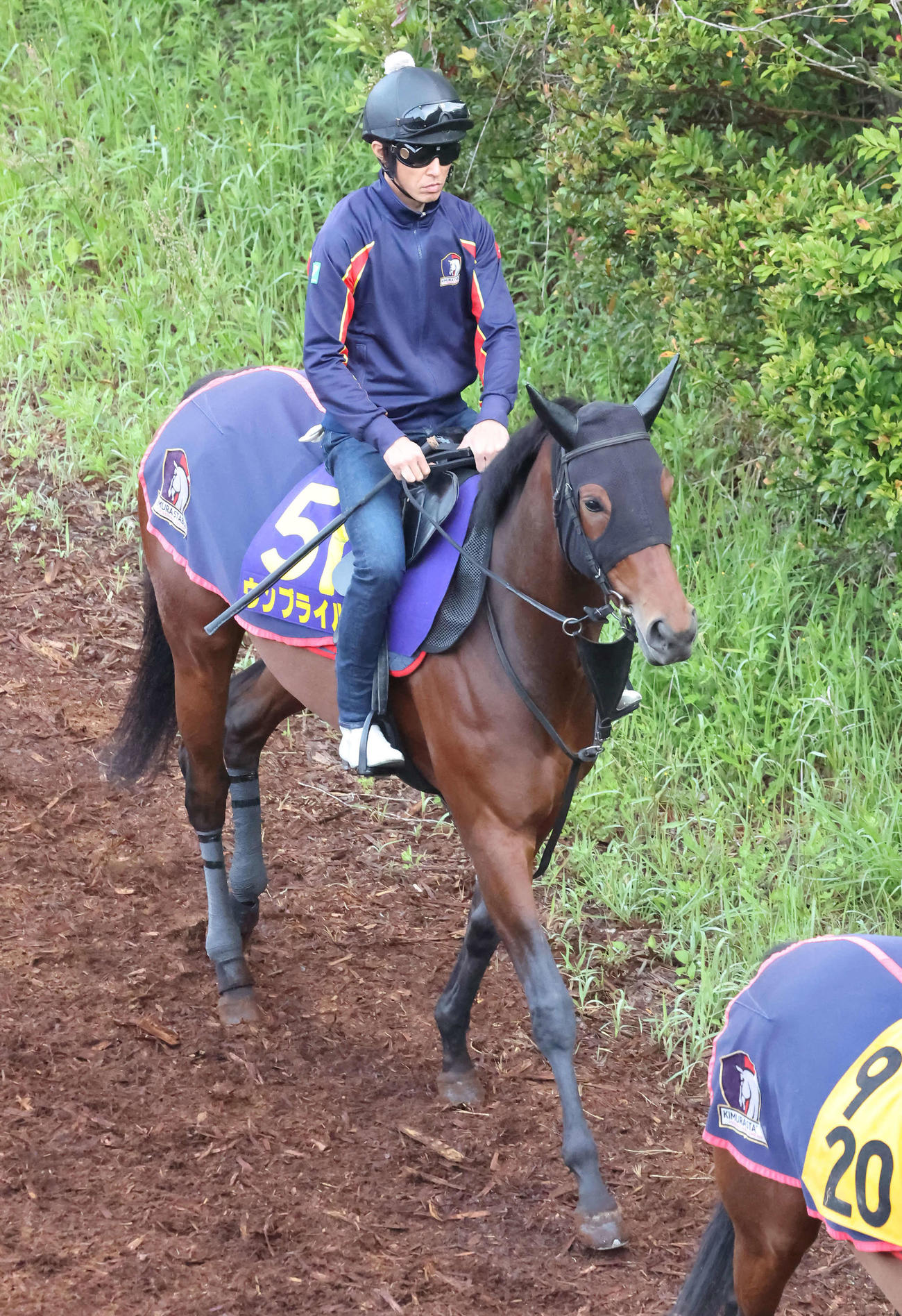 逍遙馬道で運動するウンブライル（撮影・丹羽敏通）