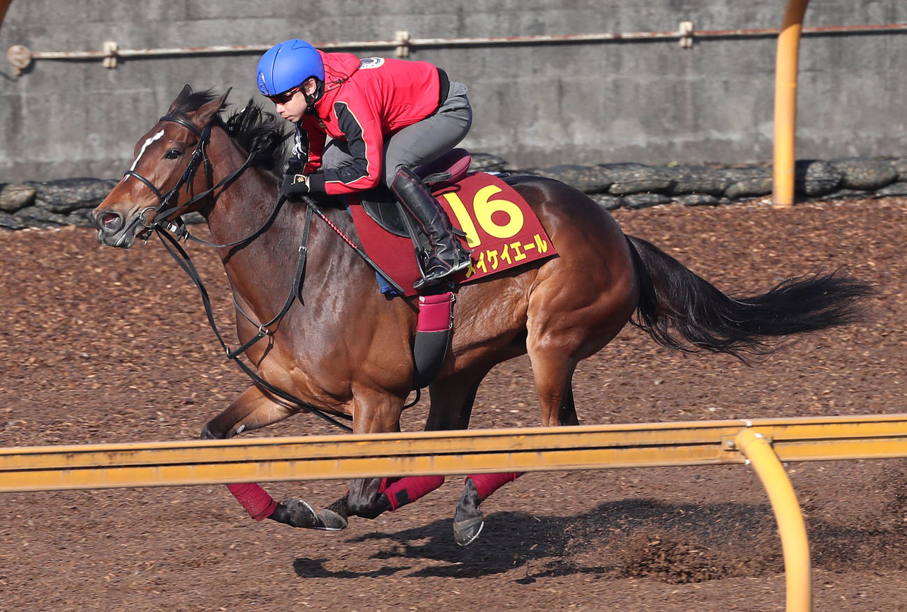 池添騎手を背にCウッドを単走で追い切るメイケイエール（撮影・白石智彦）