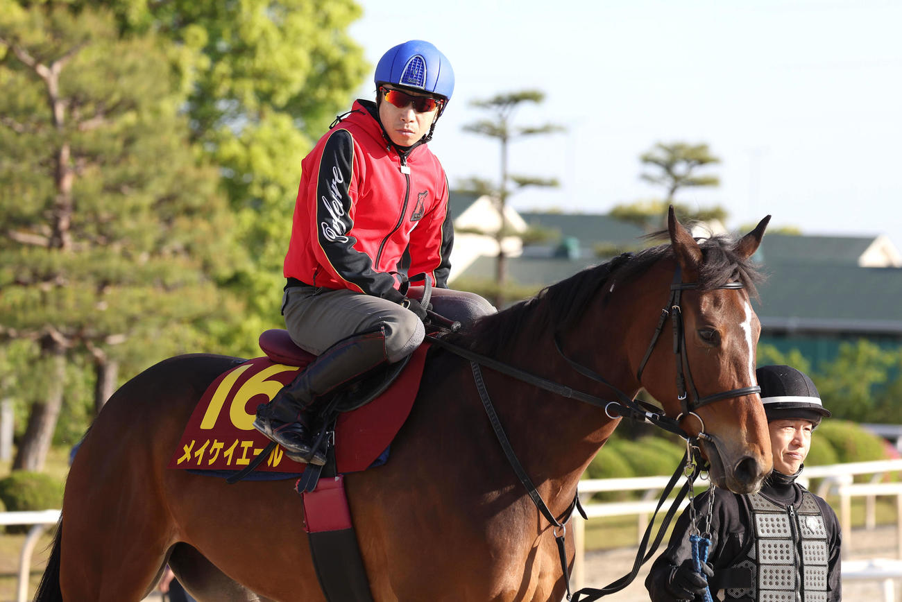 池添騎手を背にスタンド前で運動するメイケイエール（撮影・白石智彦）