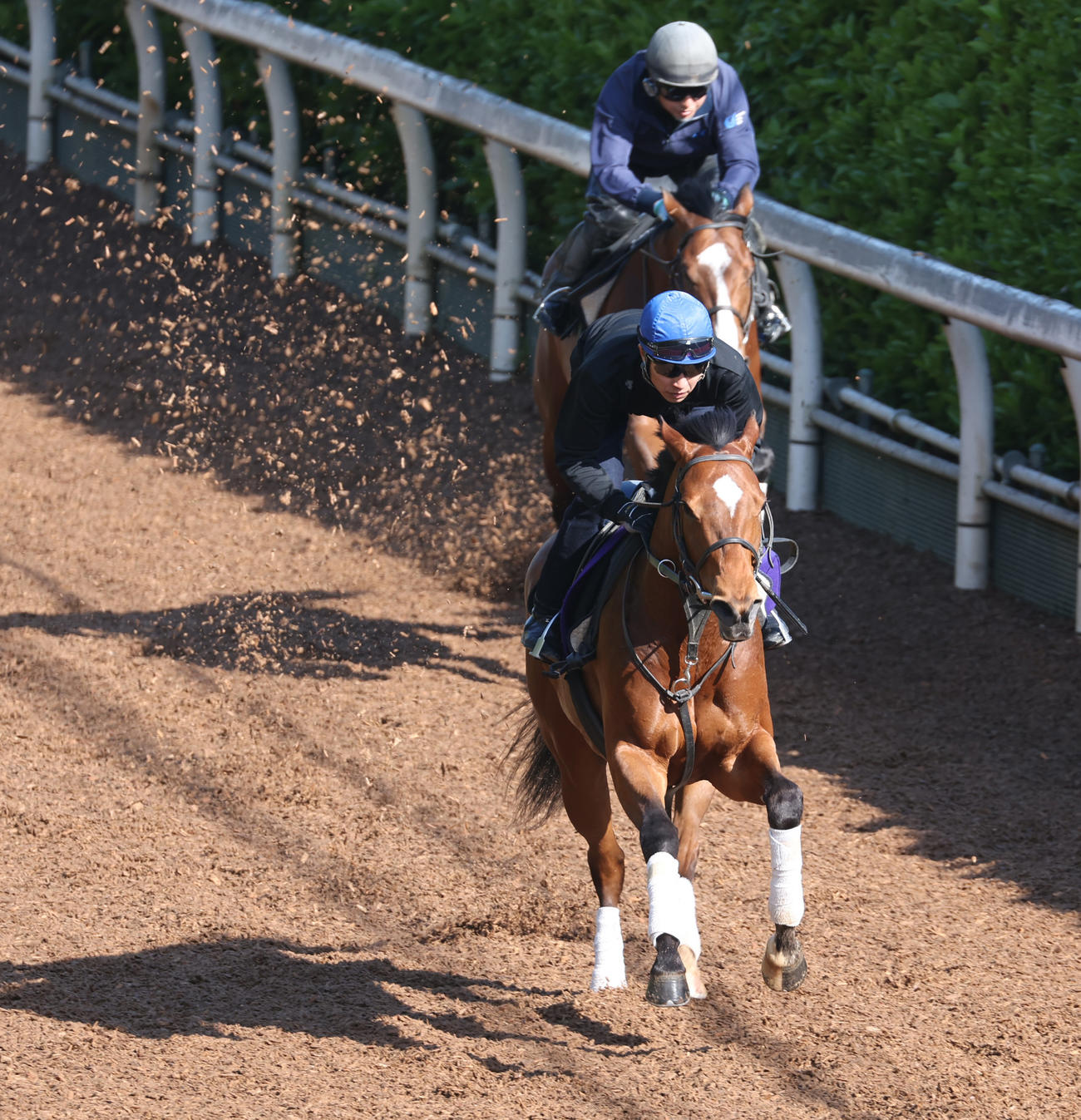 武豊騎手を背に坂路にて併せ馬で追い切るオオバンブルマイ（手前）