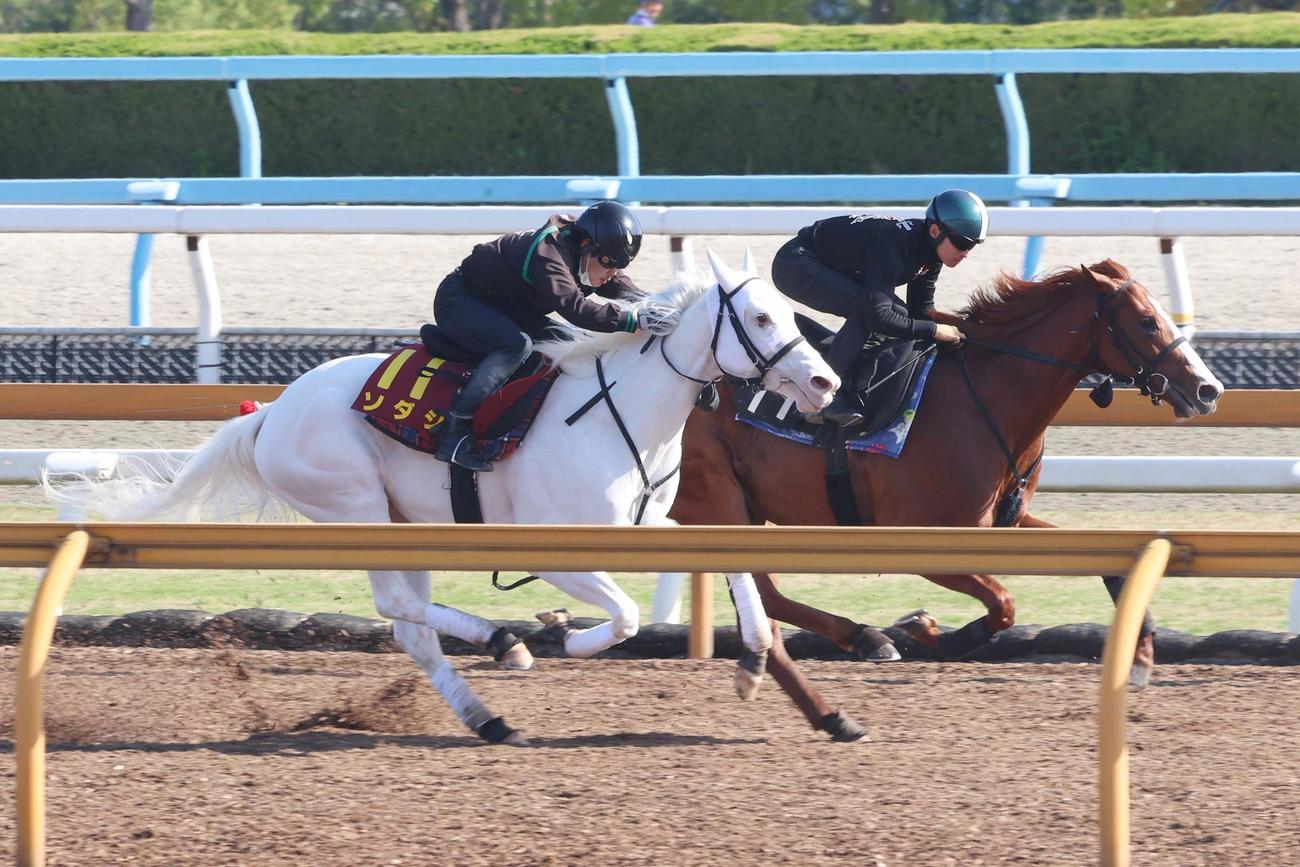 Cウッドでユティタム（右）と併せて追い切られたソダシ
