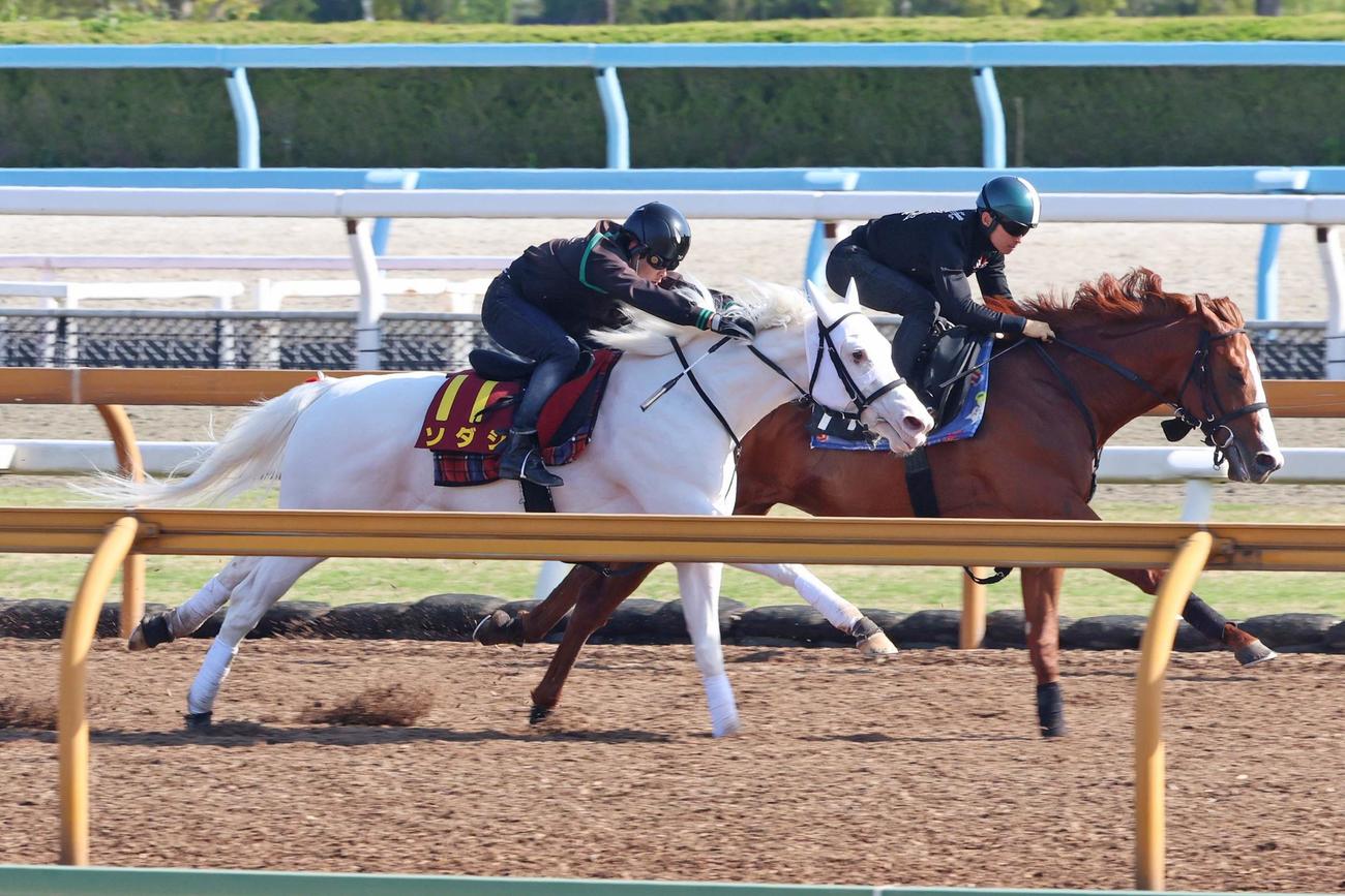 Cウッドでユティタム（右）と併せて追い切られたソダシ