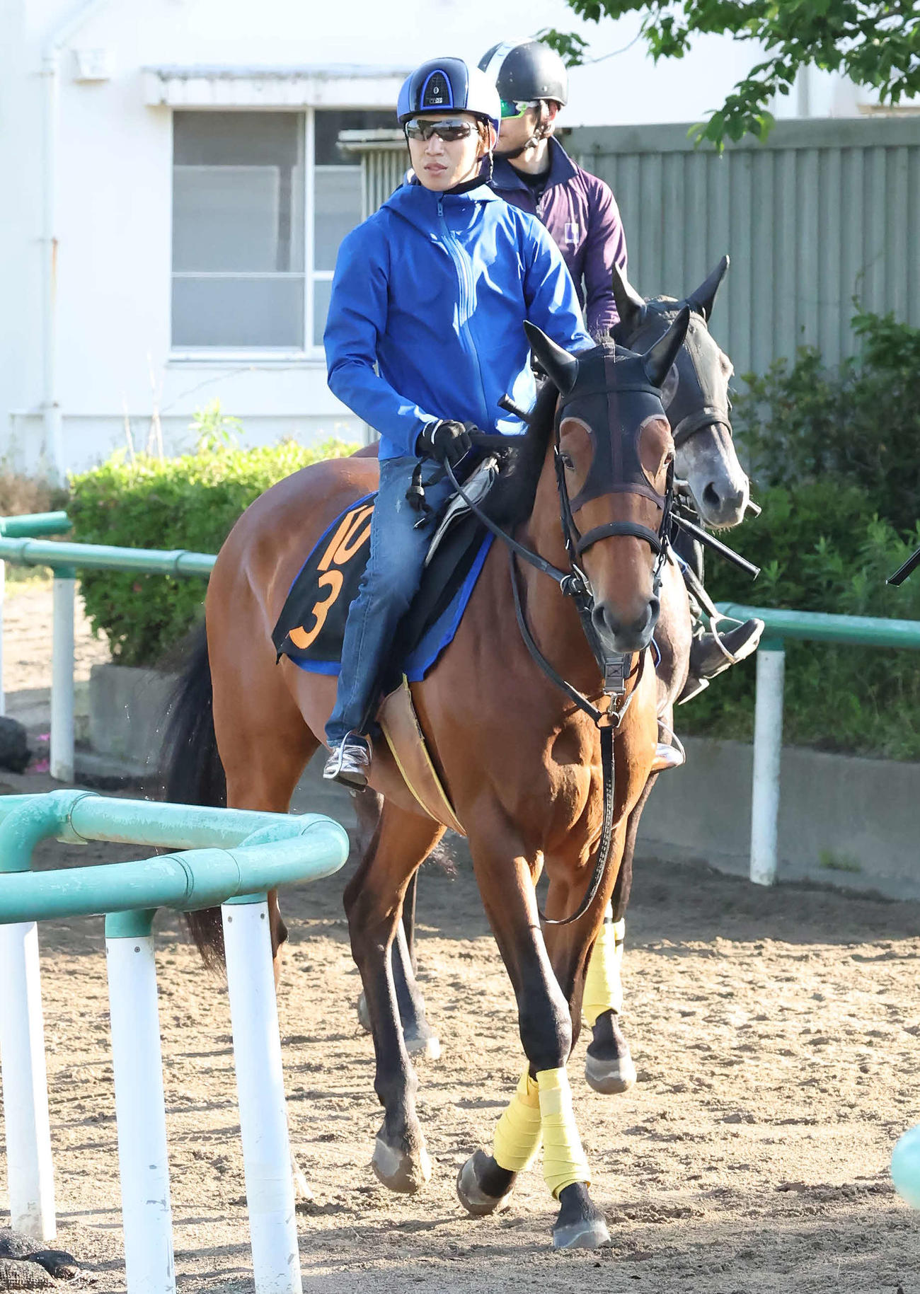 田辺騎手を背に馬場へ向かうパクスオトマニカ（撮影・丹羽敏通）