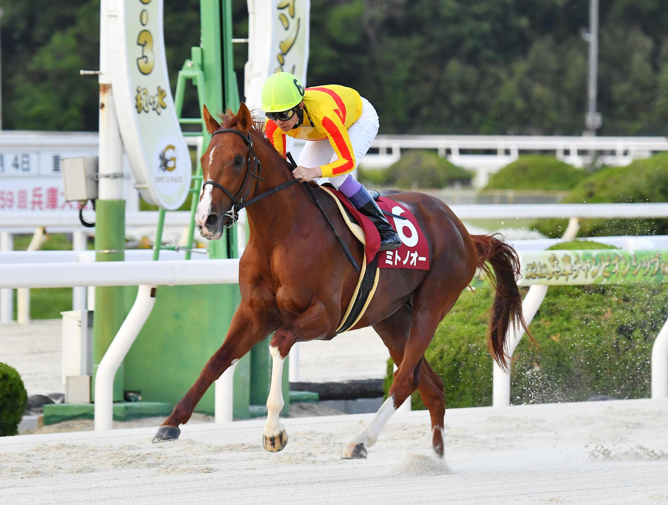 逃げ切りで兵庫CSを制したミトノオーと武豊騎手