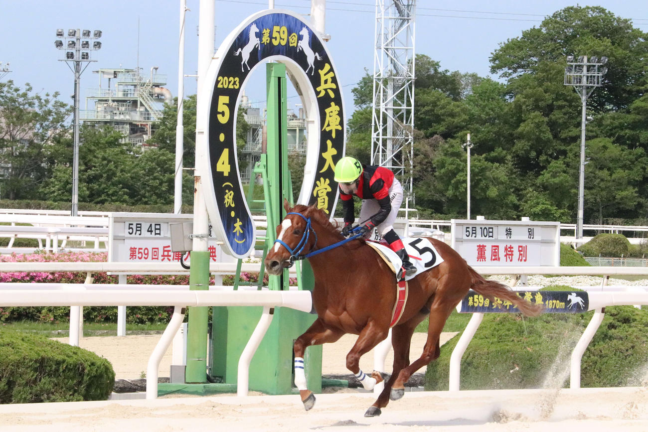 園田5R、スタングレネードで期間限定騎乗初勝利を挙げた浜尚美騎手