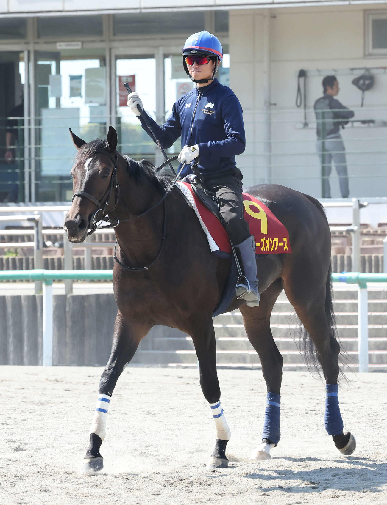 追い切りを終えて馬場を出るスターズオンアースと杉原騎手（撮影・丹羽敏通）