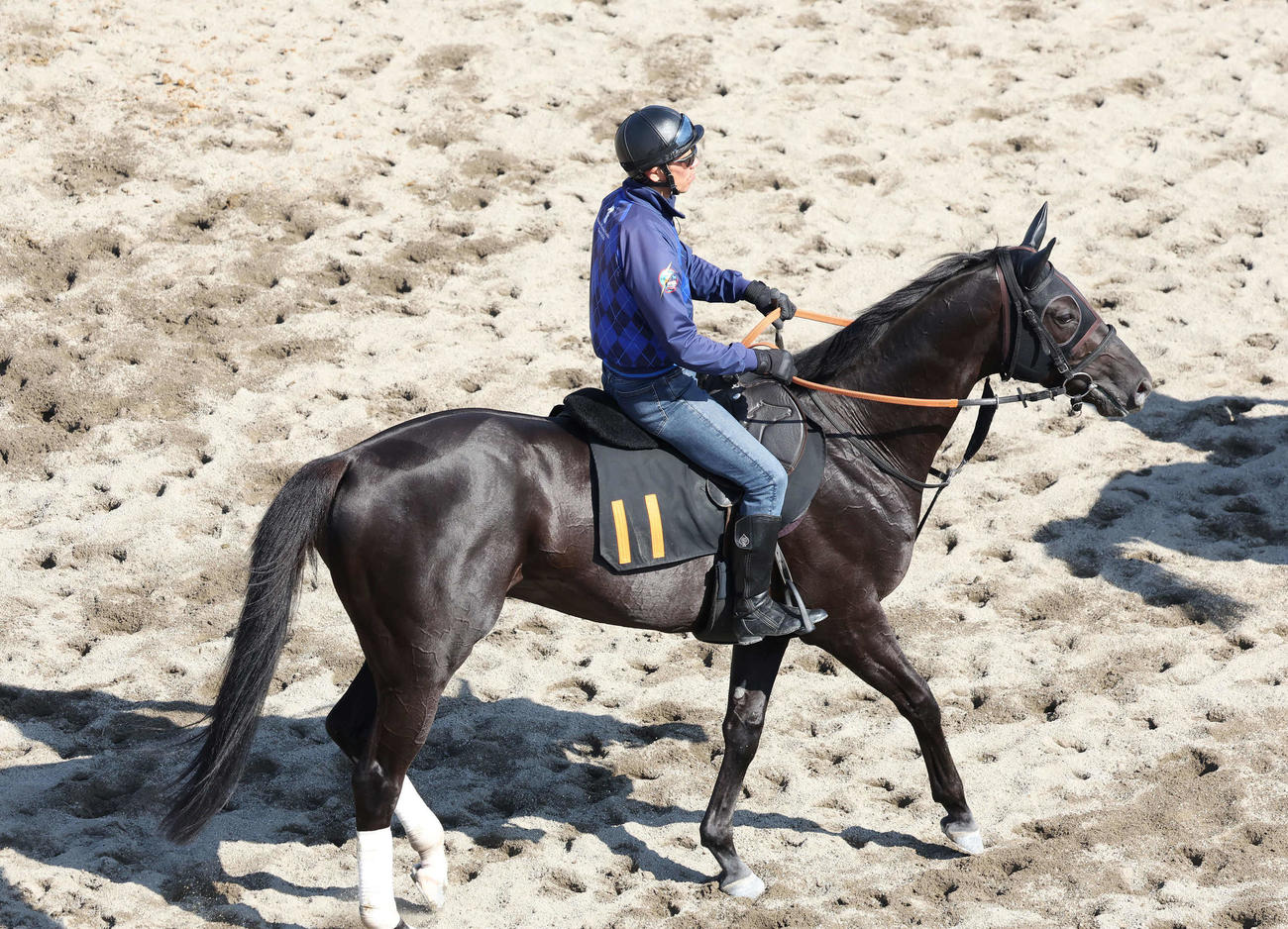 3日、調教を終えて馬場を出るアヴニールドブリエ