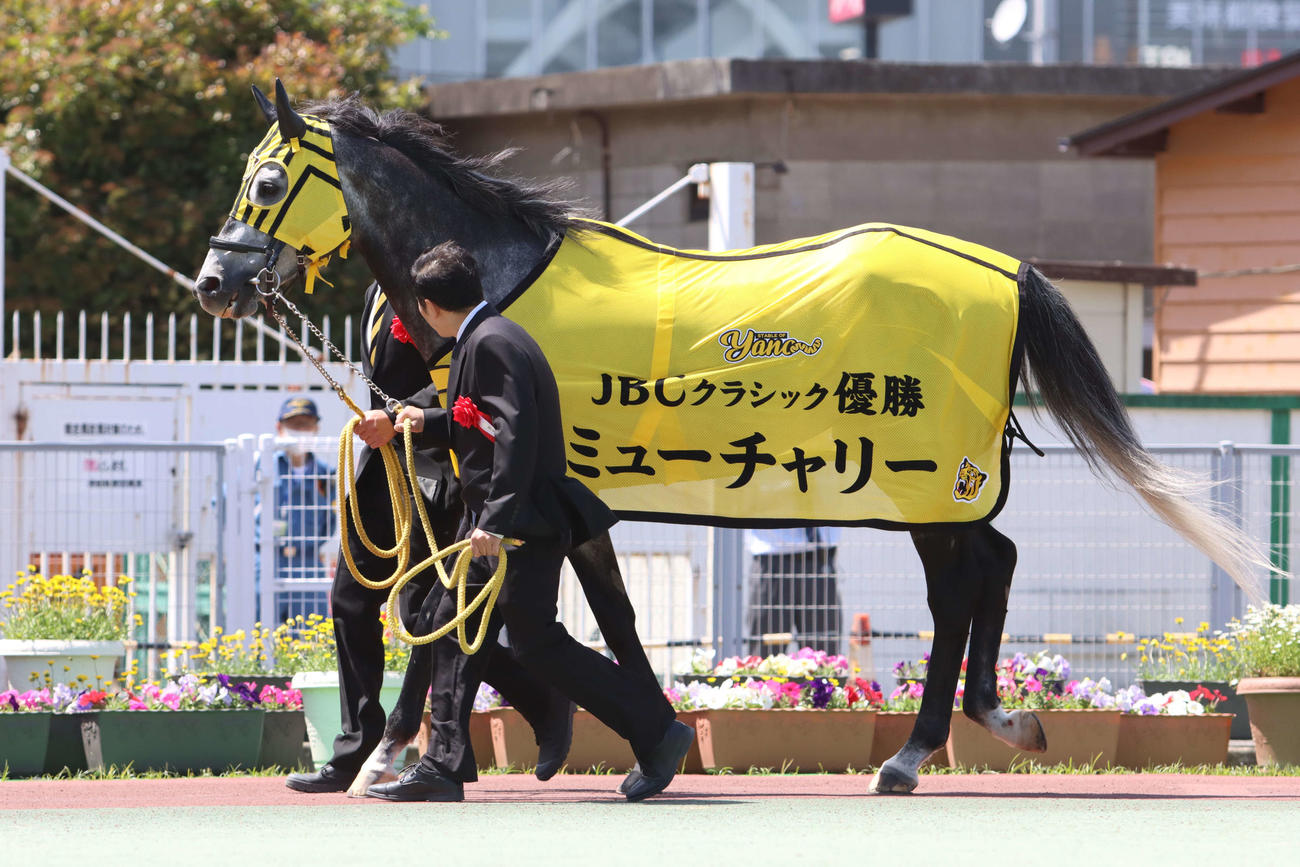 引退式でパドックを周回するミューチャリー