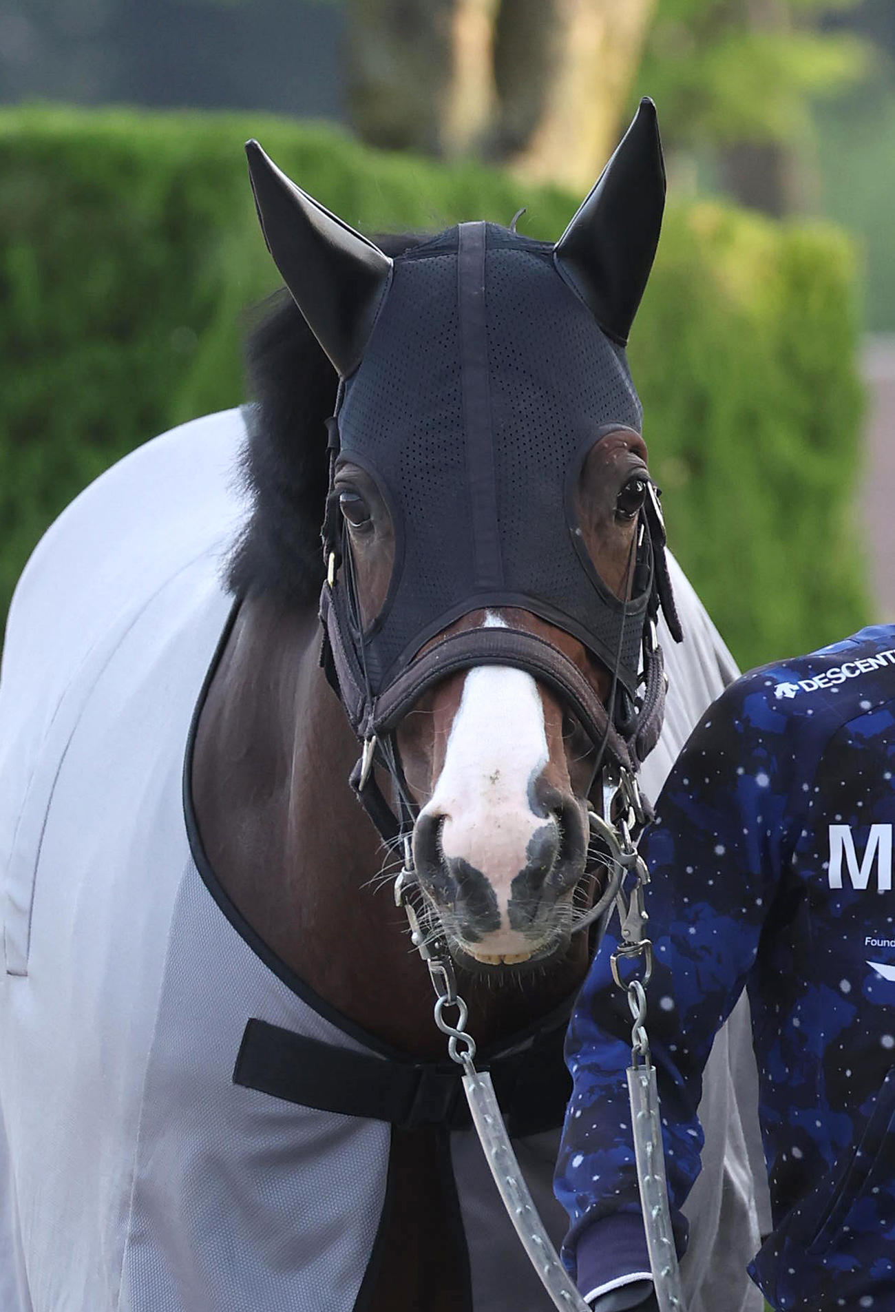 角馬場で運動するドルチェモア（2023年5月4日撮影）
