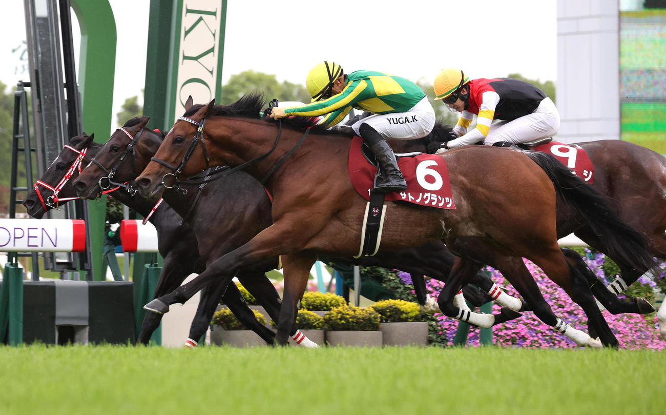 ゴール前の接戦を制して3連勝で京都新聞杯を勝利したサトノグランツ（手前）（撮影・白石智彦）