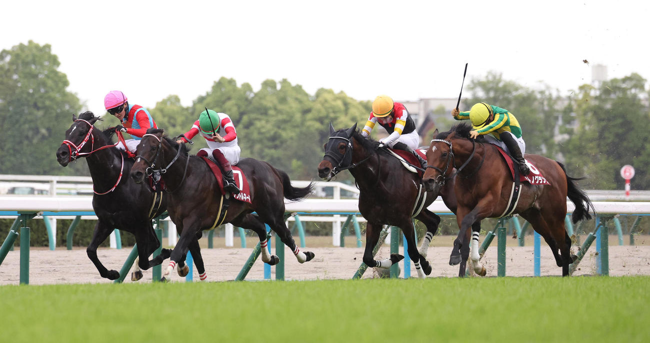 ゴール前の接戦を制して3連勝で京都新聞杯を勝利したサトノグランツ（右）（撮影・白石智彦）