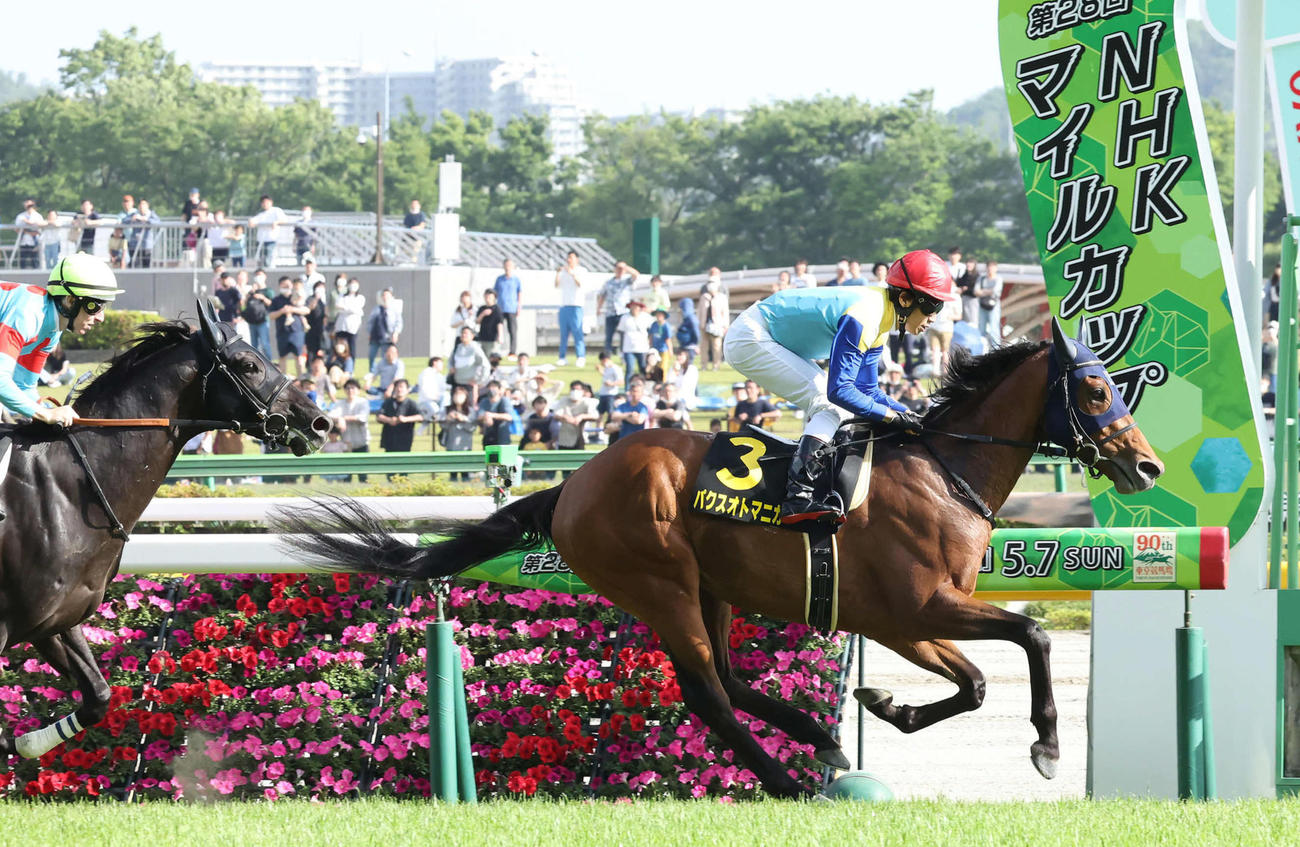 プリンシパルSを制したパクスオトマニカと田辺騎手（撮影・丹羽敏通）