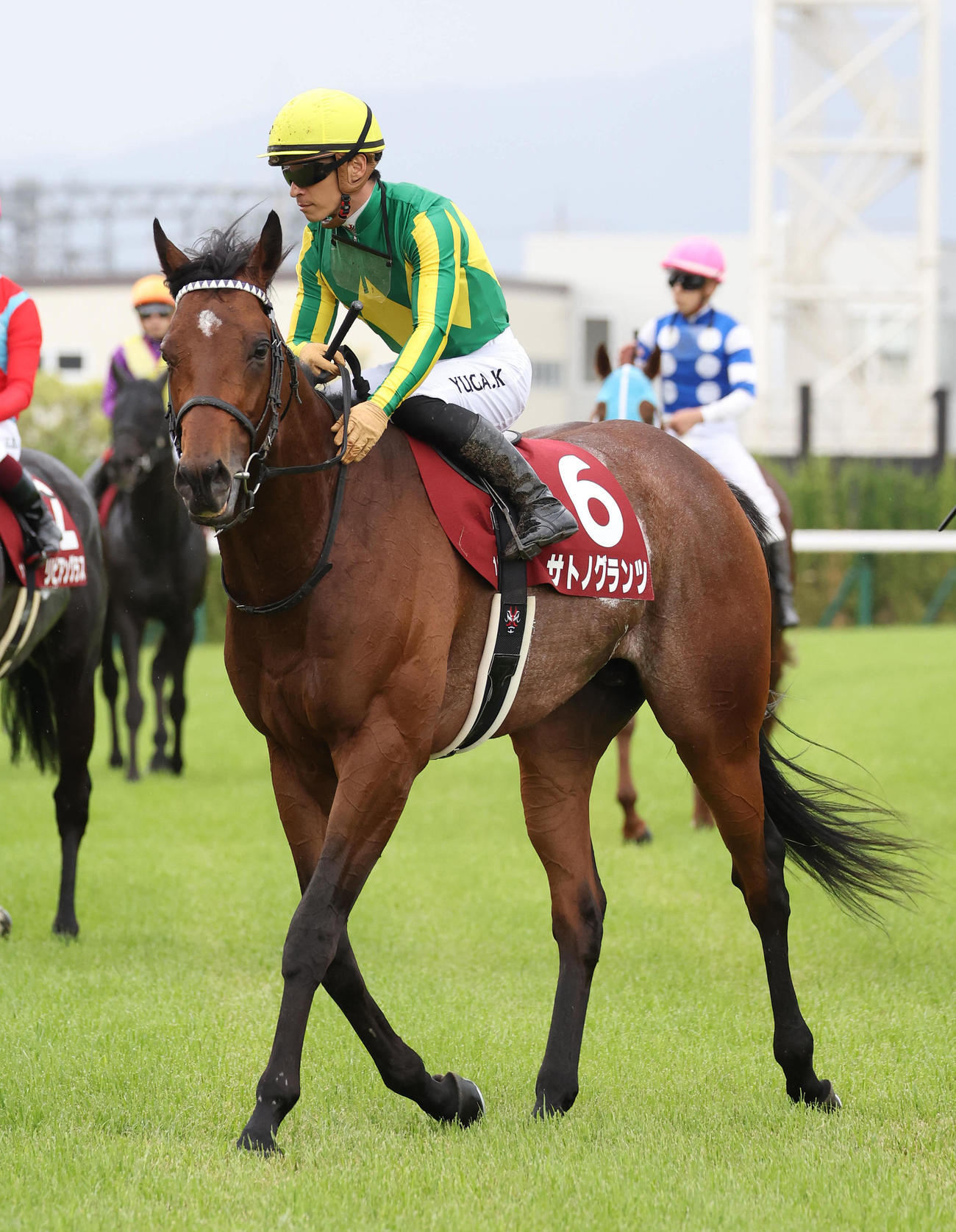 京都新聞杯を勝利したサトノグランツの首筋をなでてねぎらう川田騎手（撮影・白石智彦）