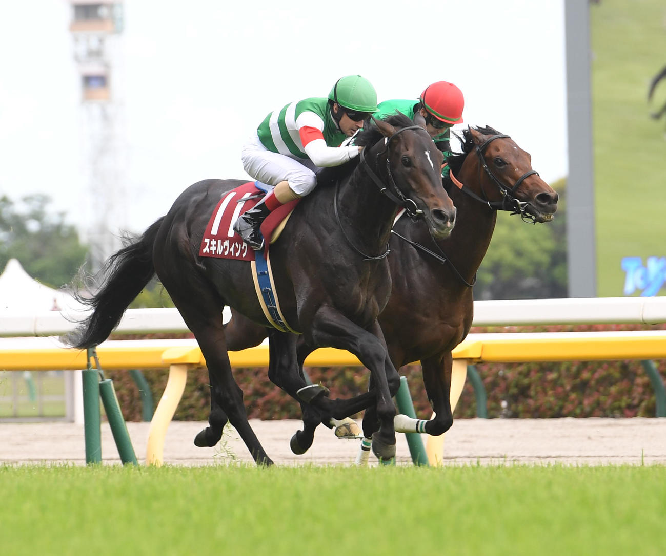 青葉賞を制したスキルヴィング（左）、2着ハーツコンチェルト（2023年4月29日撮影）