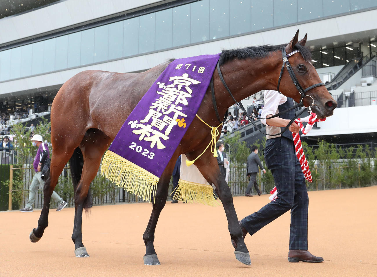 京都新聞杯を勝利したサトノグランツ（2023年5月6日撮影）