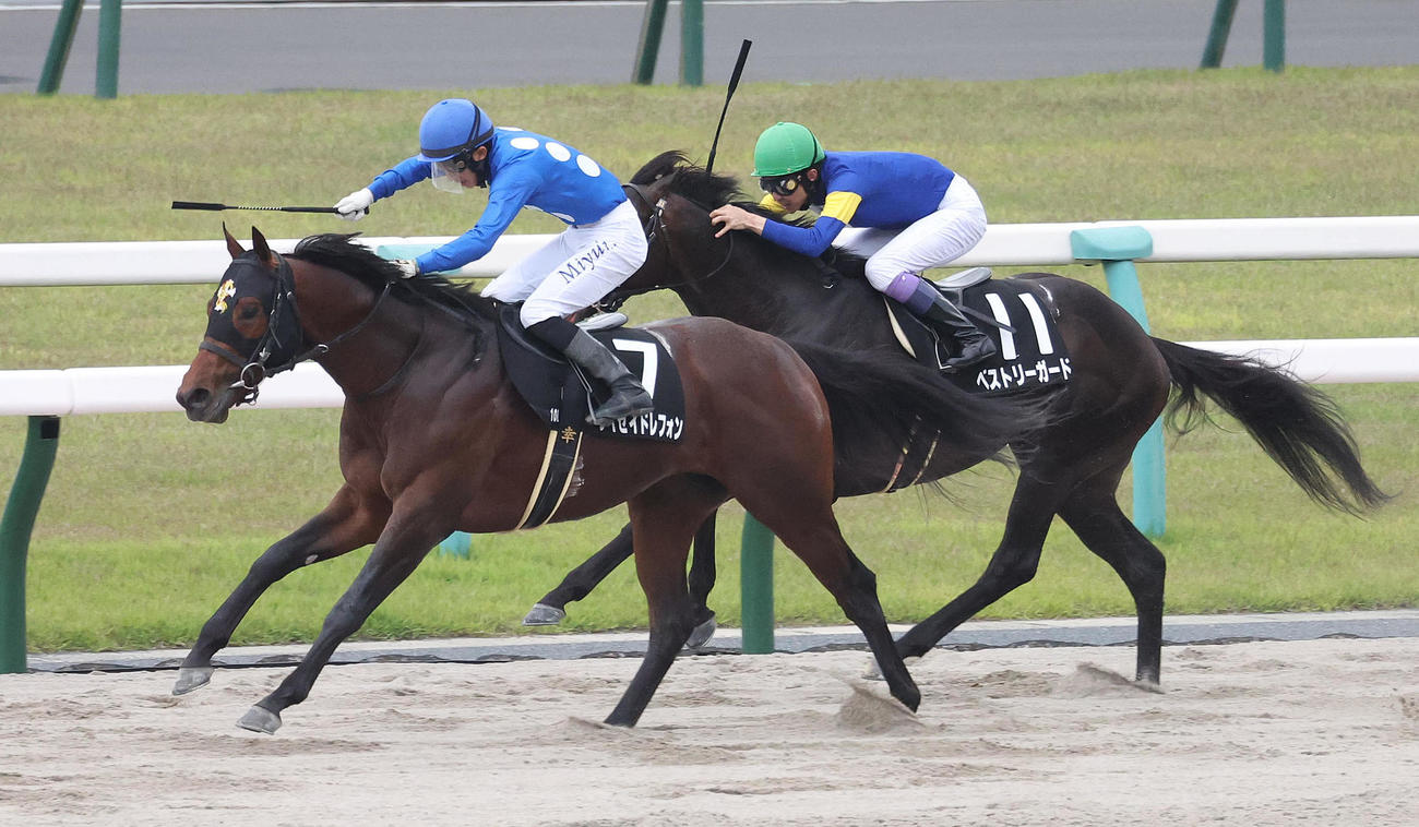 京都10R、直線抜け出して平城京Sを制したタイセイドレフォン（左）（撮影・白石智彦）