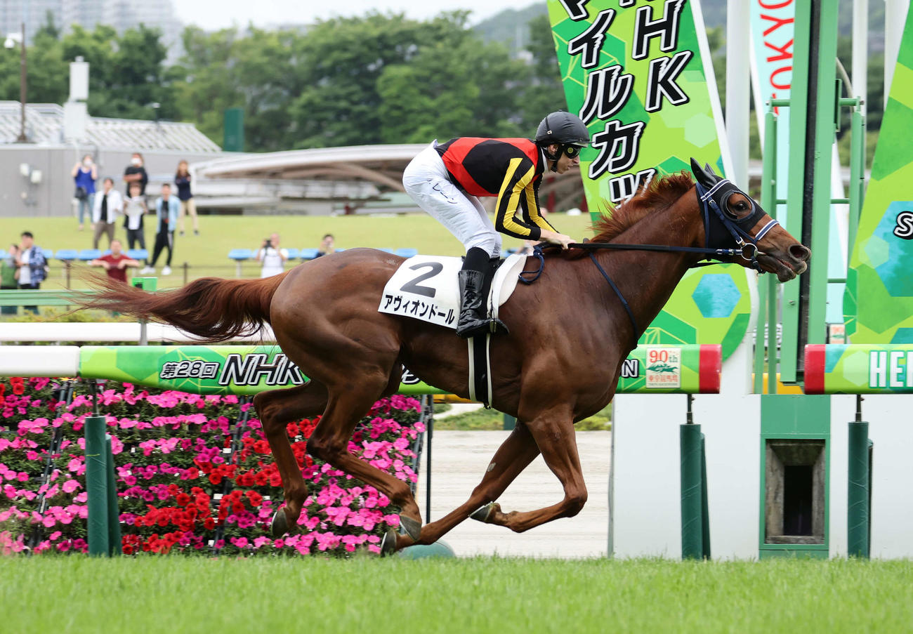 3歳未勝利を制したアヴィオンドールとD・レーン騎手（撮影・鈴木正人）