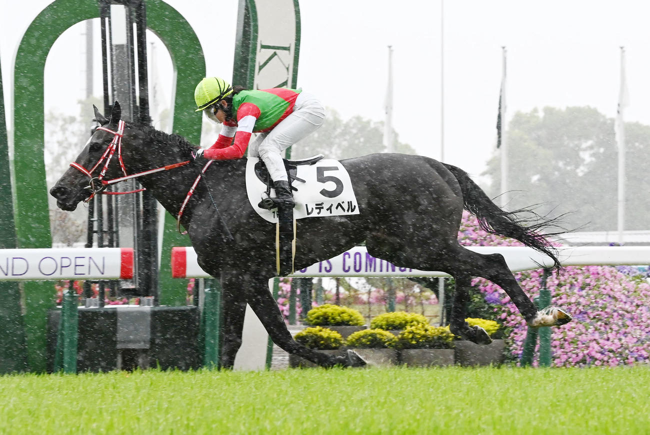 京都7R、4歳以上1勝クラスを制したレディベルと古川奈騎手（撮影・前岡正明）