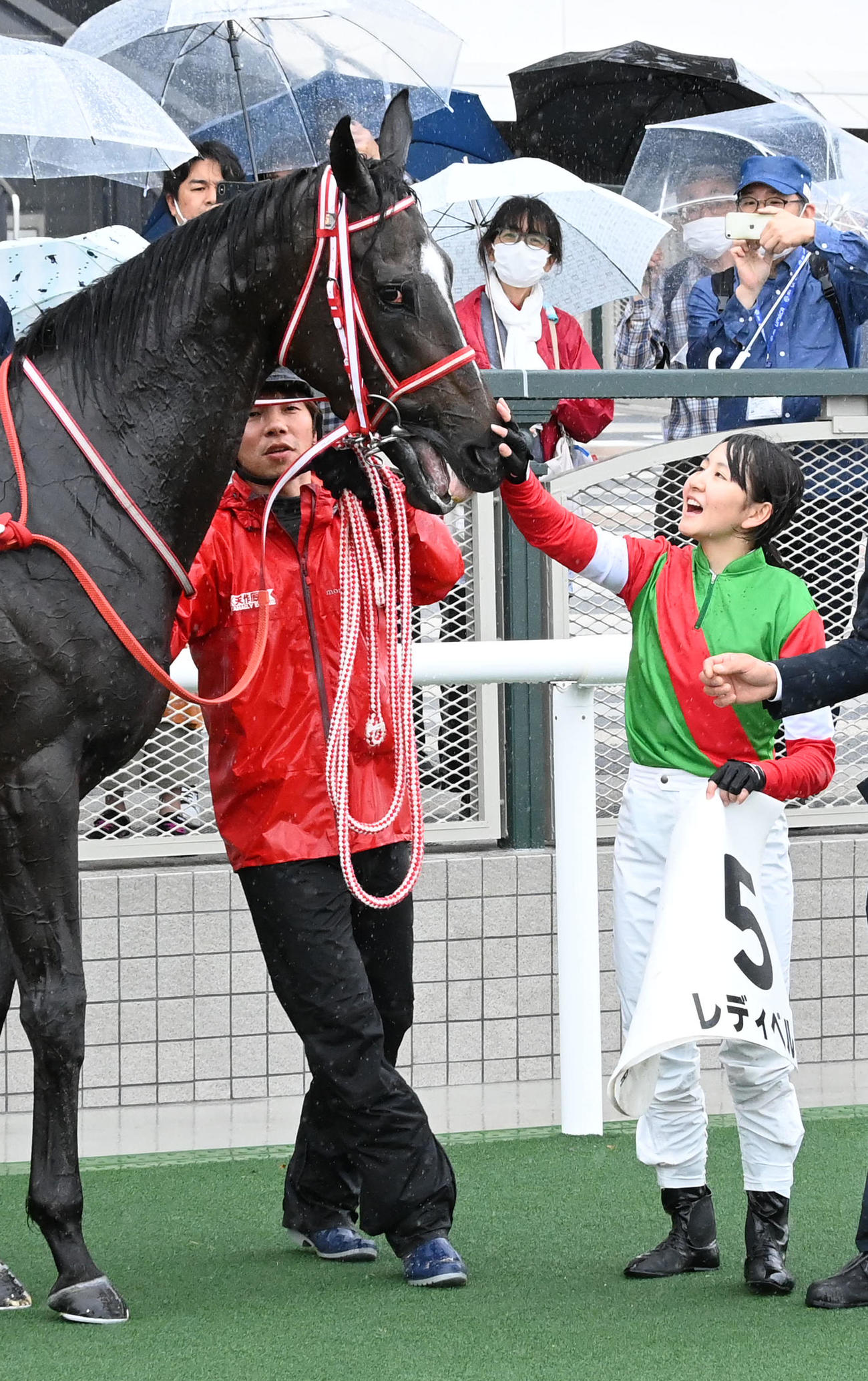 京都7Rを制したレディベルをなでる古川奈騎手（撮影・前岡正明）
