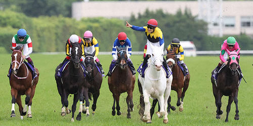 直線力強く抜け出してヴィクトリアMを制したソダシと（左から5頭目）＝2022年5月15日、東京競馬場