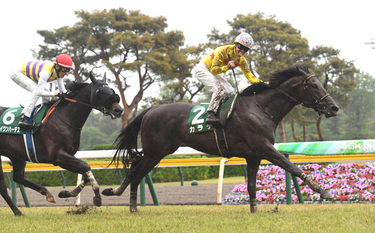 新潟大賞典を制したカラテの菅原明騎手はガッツポーズ（撮影・柴田隆二）