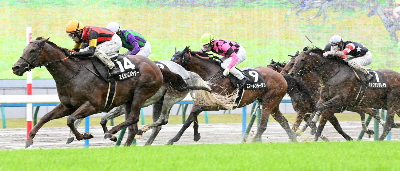 鞍馬Sを制したエイシンスポッター（撮影・前岡正明）