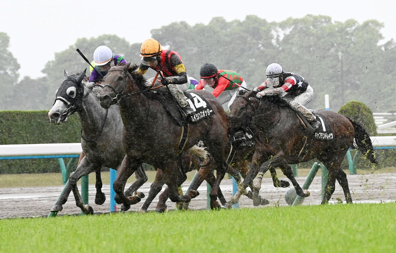 エイシンスポッター（中央）が鞍馬Sを制した（撮影・前岡正明）